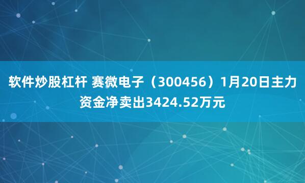 软件炒股杠杆 赛微电子（300456）1月20日主力资金净卖出3424.52万元