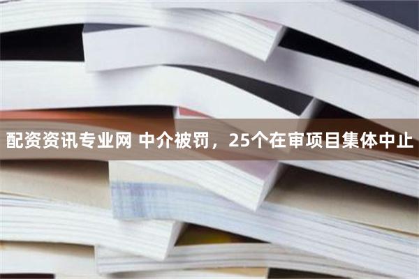 配资资讯专业网 中介被罚，25个在审项目集体中止